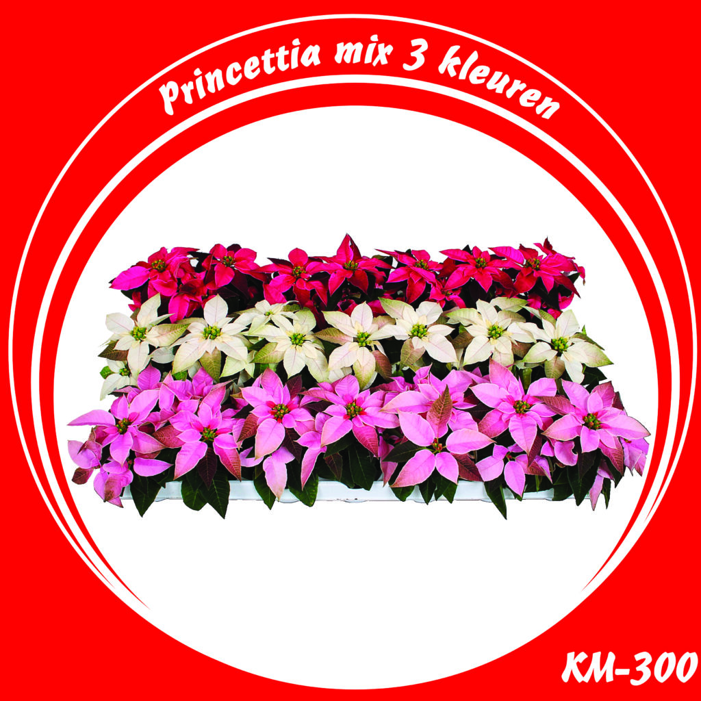 KM-300 Princettia mix 3 kleuren