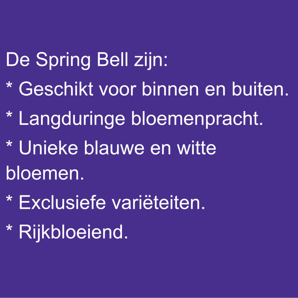 Spring Bell Tekst